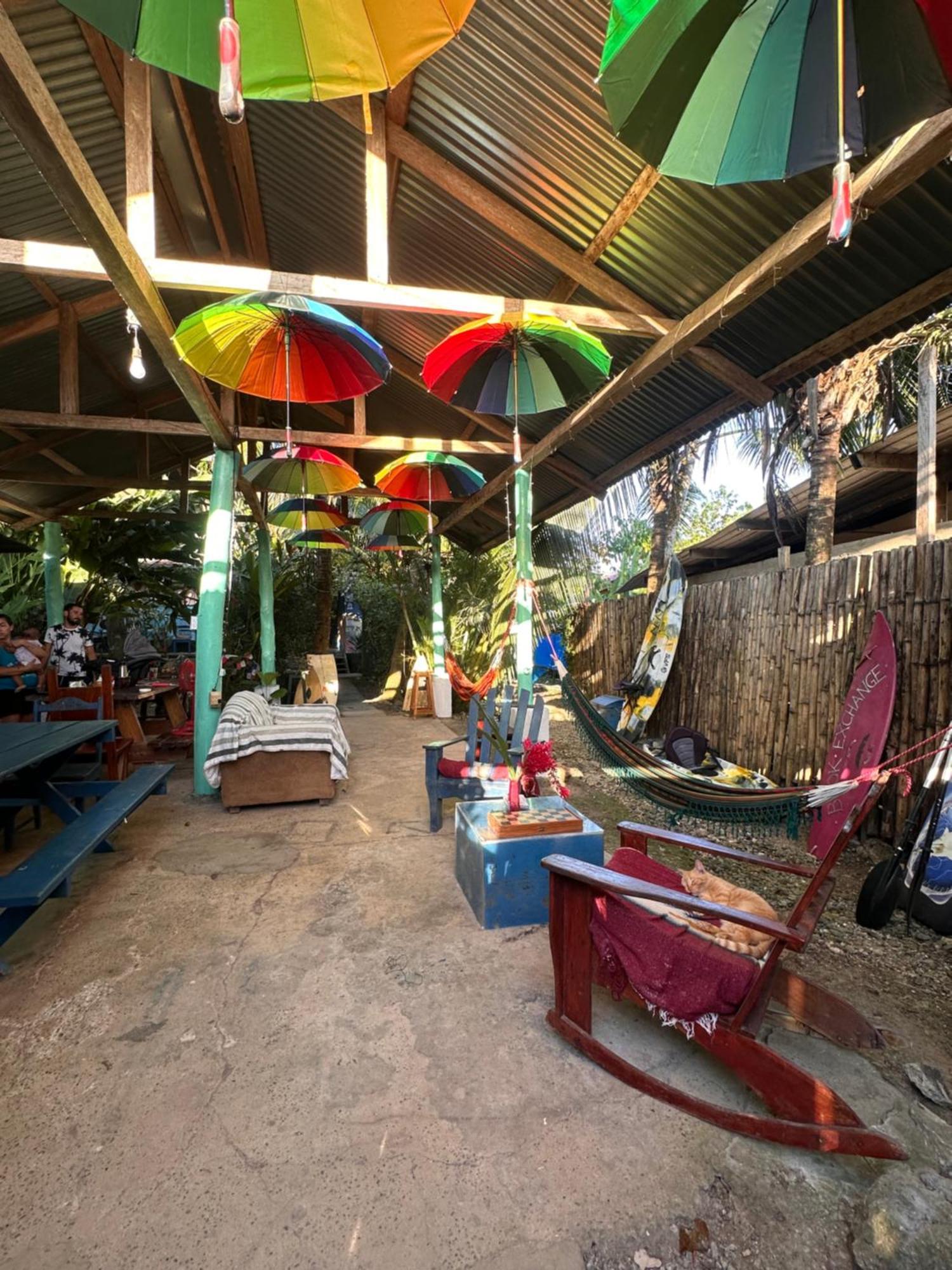 La Y Surf Camp Hotel Bocas del Toro Buitenkant foto