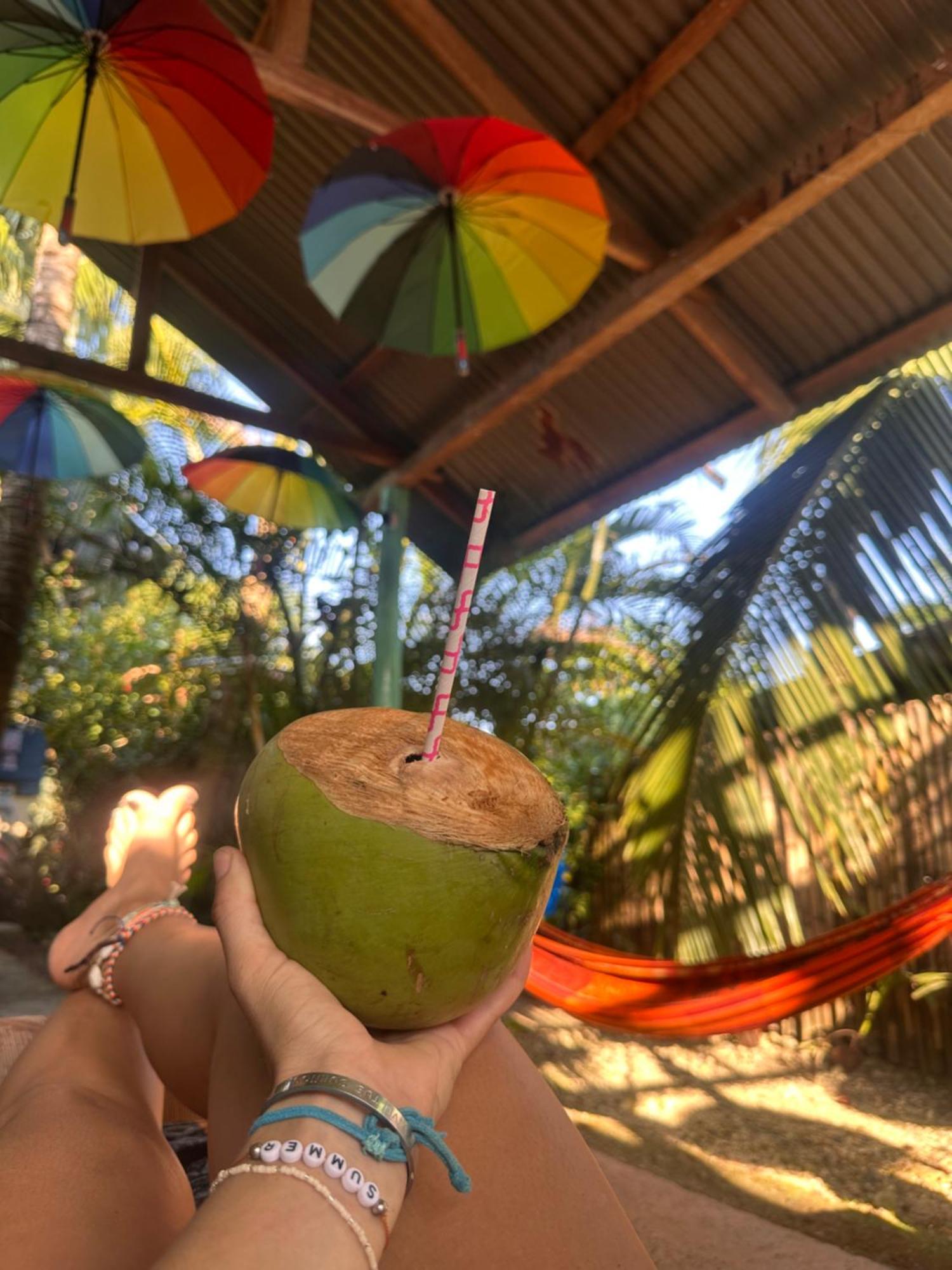 La Y Surf Camp Hotel Bocas del Toro Buitenkant foto